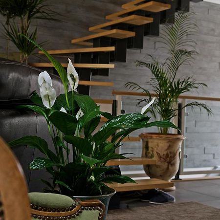 Superbe Appartement Au Coeur Du Jura Champagnole Εξωτερικό φωτογραφία